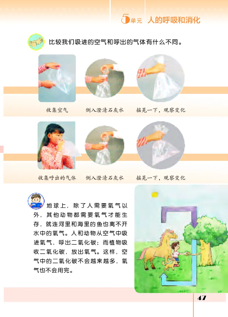 苏教版3年级科学上册高清教材_全部版本&bull;小学科学电子课本_苏教版小学科学电子课本