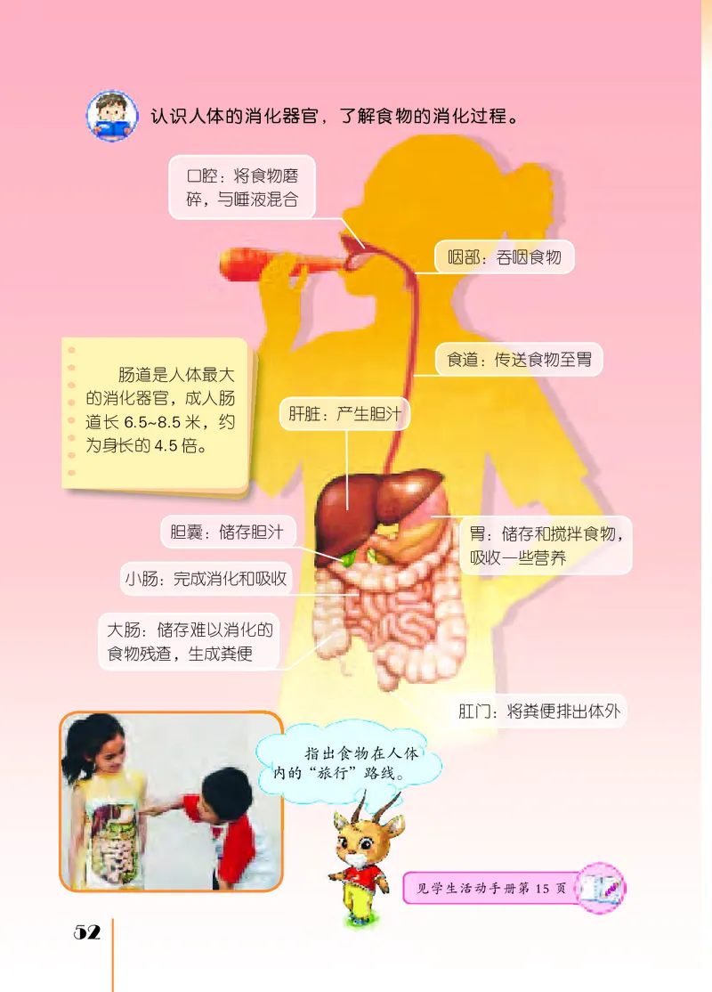 苏教版3年级科学上册高清教材_全部版本&bull;小学科学电子课本_苏教版小学科学电子课本