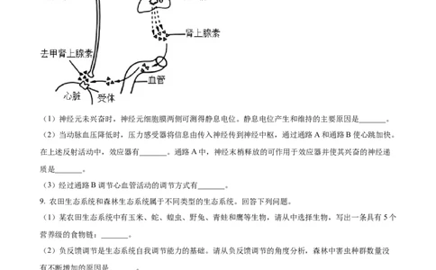 2023年高考生物试卷（全国乙卷）（空白卷）_生物历年高考真题_新&middot;Word版2008-2025&middot;高考生物真题_生物（按省份分类）2008-2025_2008-2024&middot;（江西）生物高考真题