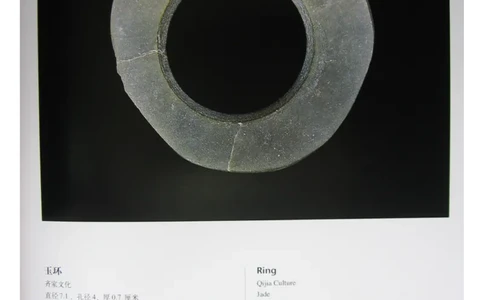 中国出土玉器全集(15)甘肃青海宁夏新疆_部分3_X018-玉石珠宝鉴定教程最新合集_5、玉石鉴定专题全套课程_玉石电子书_中国出土玉石全集