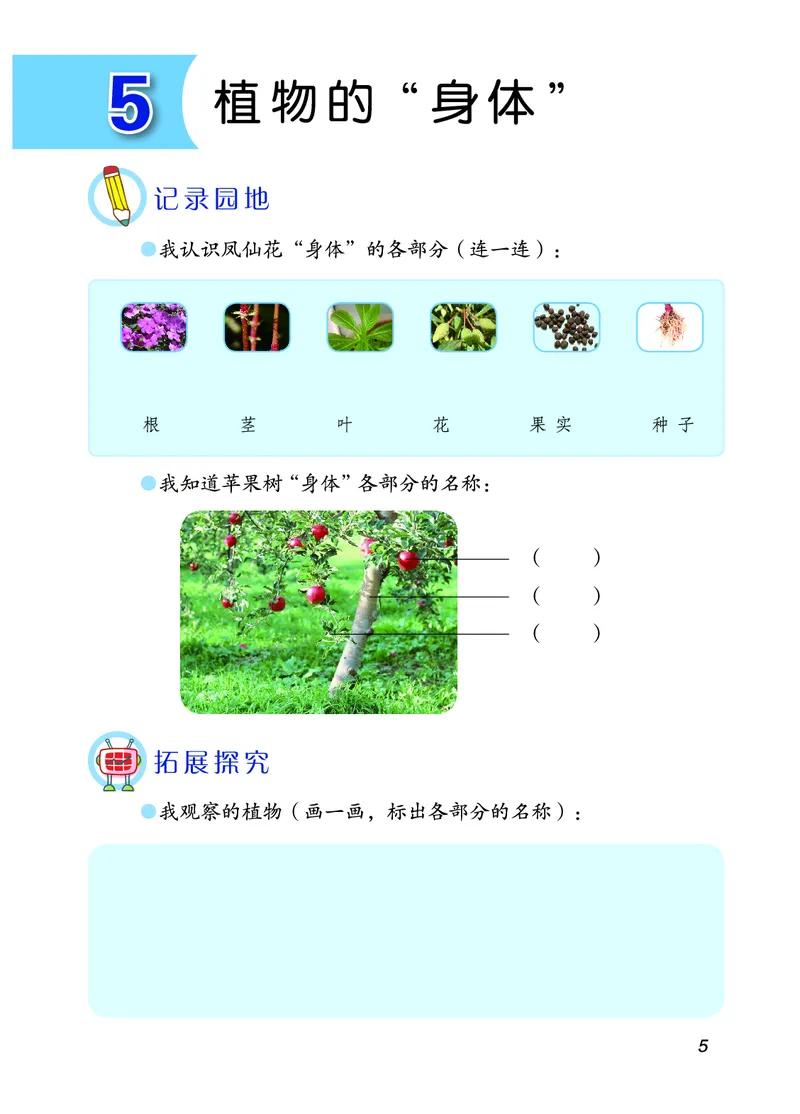 青岛版3年级科学上册活动手册_全部版本&bull;小学科学电子课本_青岛版63制小学科学课本