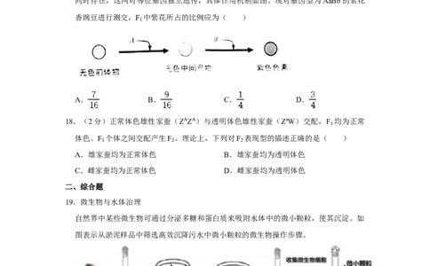2022年高考生物试卷（上海）（解析卷）_生物历年高考真题_新&middot;Word版2008-2025&middot;高考生物真题_生物（按年份分类）2008-2025_2022&middot;高考生物真题