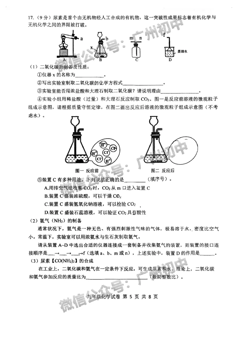 2025南沙区中考一模化学试题_广州九上月考+期中+期末+一模二模+中考真题_广州2025年中考一模_2025年11区中考一模_南沙区