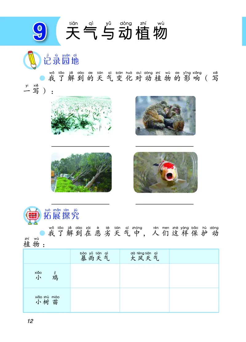 青岛版2年级科学下册活动手册_全部版本&bull;小学科学电子课本_青岛版63制小学科学课本