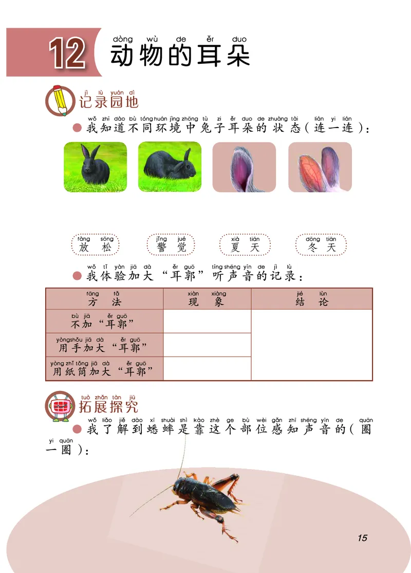 青岛版2年级科学下册活动手册_全部版本&bull;小学科学电子课本_青岛版63制小学科学课本