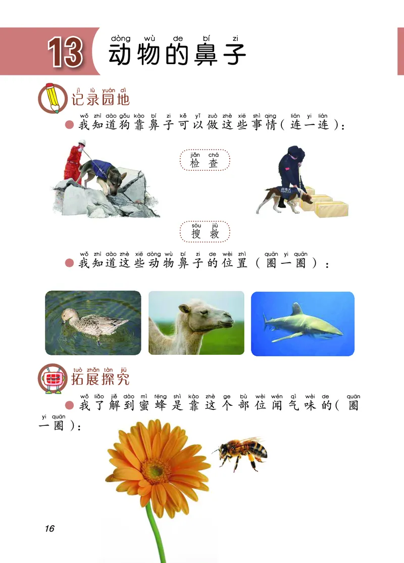 青岛版2年级科学下册活动手册_全部版本&bull;小学科学电子课本_青岛版63制小学科学课本