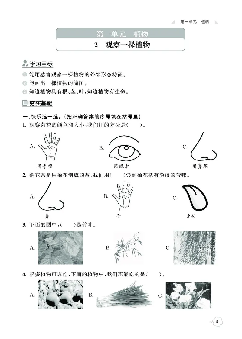 《七彩同步训练》科学1年级上册（教科版）_一年级上下册资料_小学一年级学习资料-25年更新版_1-09、小学一年级科学上册_教科版_电子册类