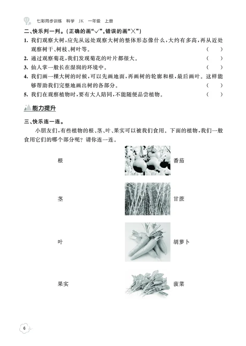 《七彩同步训练》科学1年级上册（教科版）_一年级上下册资料_小学一年级学习资料-25年更新版_1-09、小学一年级科学上册_教科版_电子册类