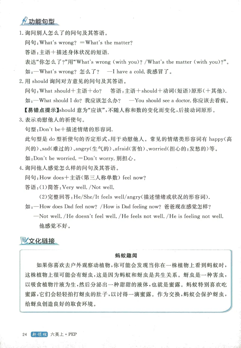 知识梳理英语6_《优翼新领程》25秋英语6年级上册（人教PEP）
