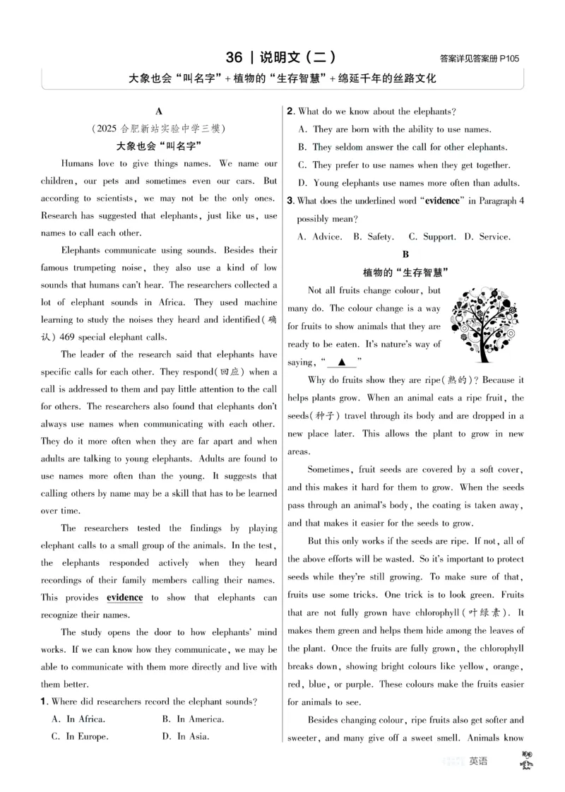 2026《中考英语45套》安徽提分小卷答案_45套中招_2026《中考英语45套》安徽