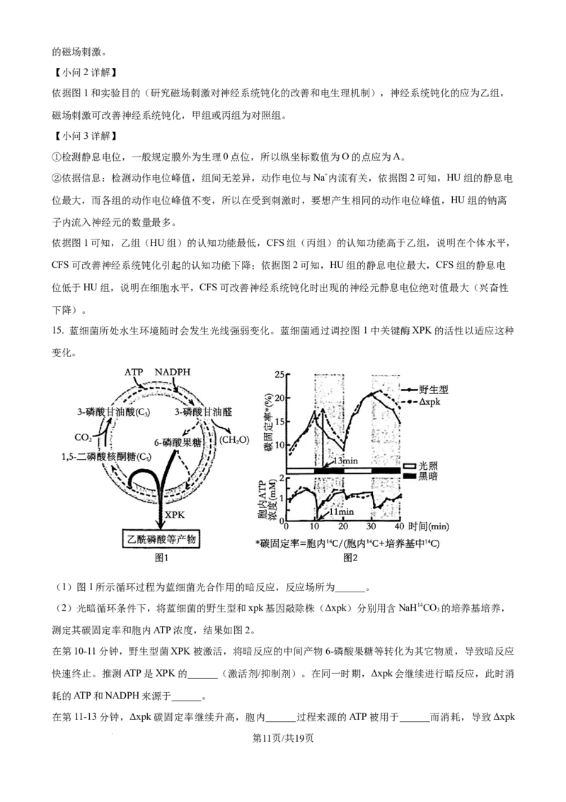 2024年高考生物试卷（天津）（解析卷）_生物历年高考真题_新&middot;Word版2008-2025&middot;高考生物真题_生物（按年份分类）2008-2025_2024&middot;高考生物真题
