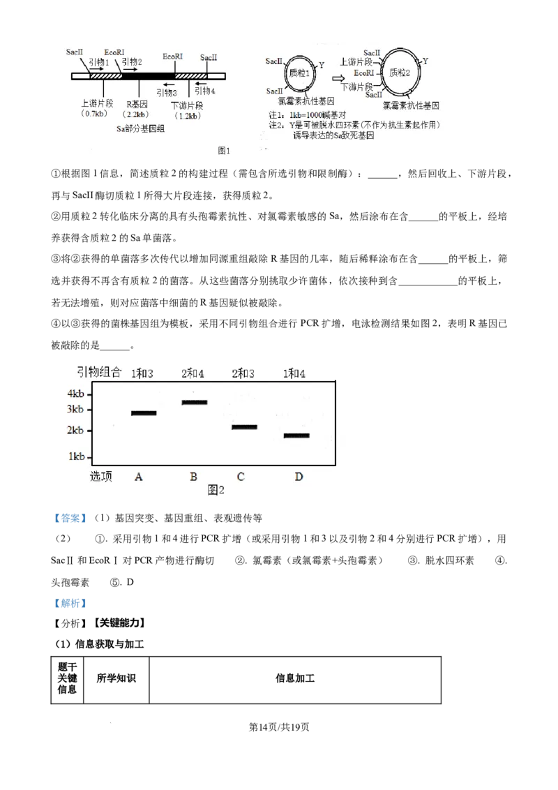 2024年高考生物试卷（天津）（解析卷）_生物历年高考真题_新&middot;Word版2008-2025&middot;高考生物真题_生物（按年份分类）2008-2025_2024&middot;高考生物真题