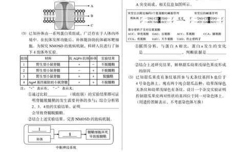 2023年高考生物试卷（福建）（答案卷）_生物历年高考真题_新&middot;PDF版2008-2025&middot;高考生物真题_生物（按省份分类）2008-2025_2012-2024&middot;（福建）生物高考真题