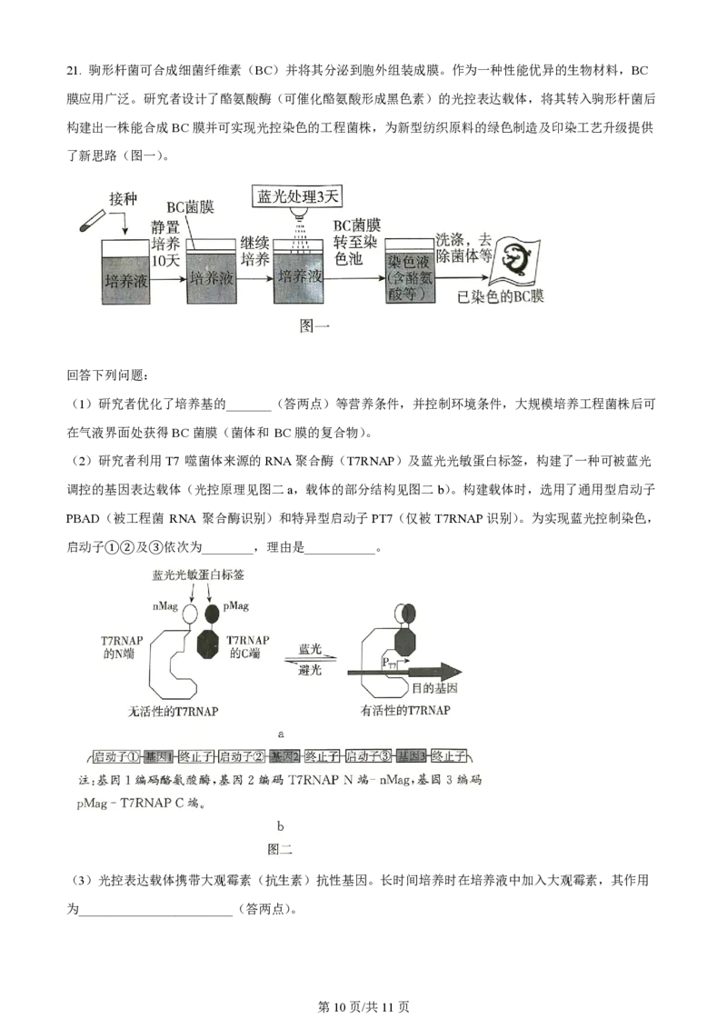 2024年高考生物试卷（广东）（空白卷）_生物历年高考真题_新&middot;PDF版2008-2025&middot;高考生物真题_生物（按年份分类）2008-2025_2024&middot;高考生物真题