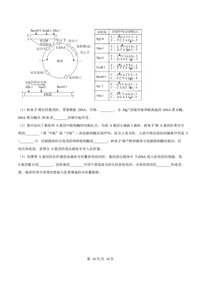 2025年高考生物试卷（陕晋青宁卷）（空白卷）_生物历年高考真题_新&middot;Word版2008-2025&middot;高考生物真题_生物（按年份分类）2008-2025_2025&middot;高考生物真题