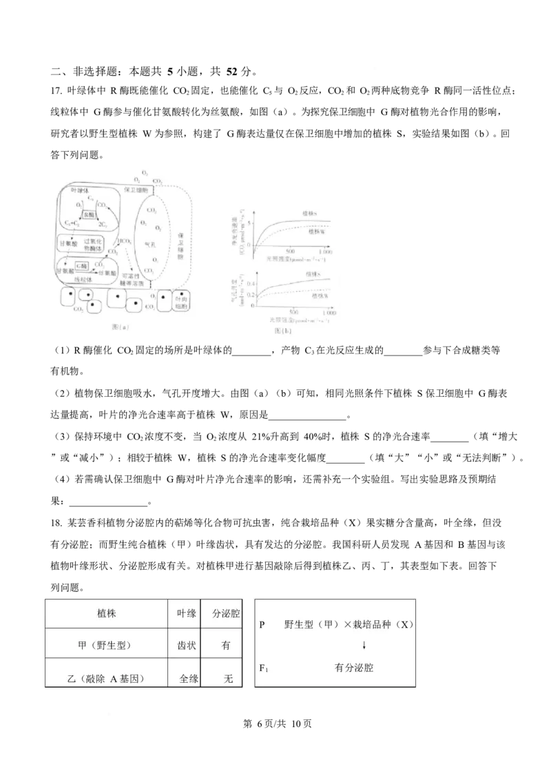 2025年高考生物试卷（陕晋青宁卷）（空白卷）_生物历年高考真题_新&middot;Word版2008-2025&middot;高考生物真题_生物（按年份分类）2008-2025_2025&middot;高考生物真题
