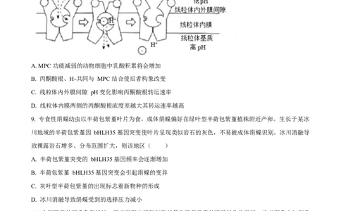 2025年高考生物试卷（陕晋青宁卷）（空白卷）_生物历年高考真题_新&middot;Word版2008-2025&middot;高考生物真题_生物（按年份分类）2008-2025_2025&middot;高考生物真题
