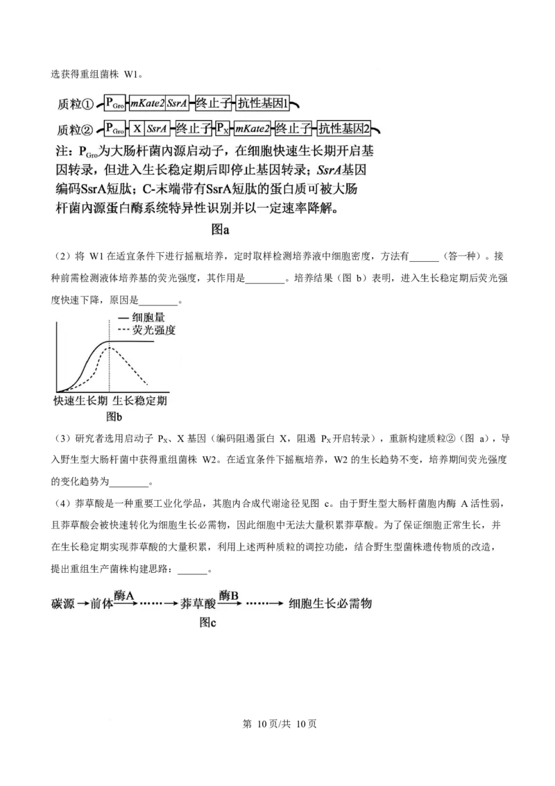 2025年高考生物试卷（广东卷）（空白卷）_生物历年高考真题_新&middot;Word版2008-2025&middot;高考生物真题_生物（按年份分类）2008-2025_2025&middot;高考生物真题