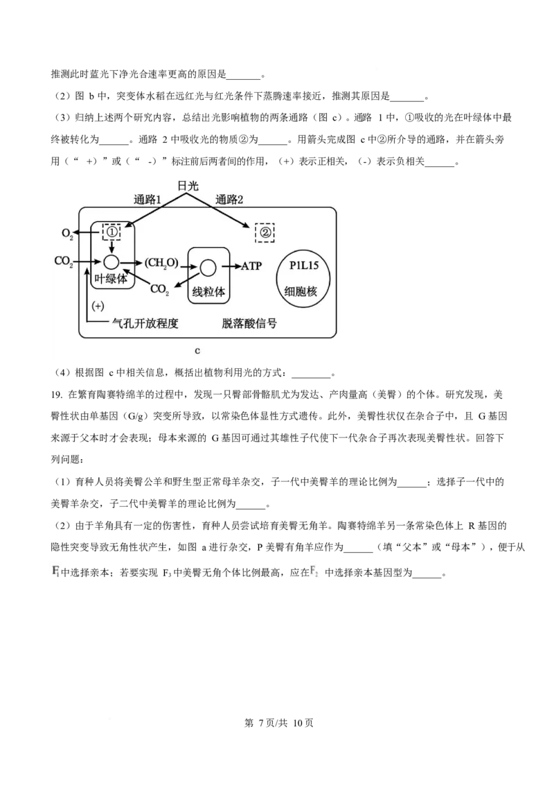2025年高考生物试卷（广东卷）（空白卷）_生物历年高考真题_新&middot;Word版2008-2025&middot;高考生物真题_生物（按年份分类）2008-2025_2025&middot;高考生物真题