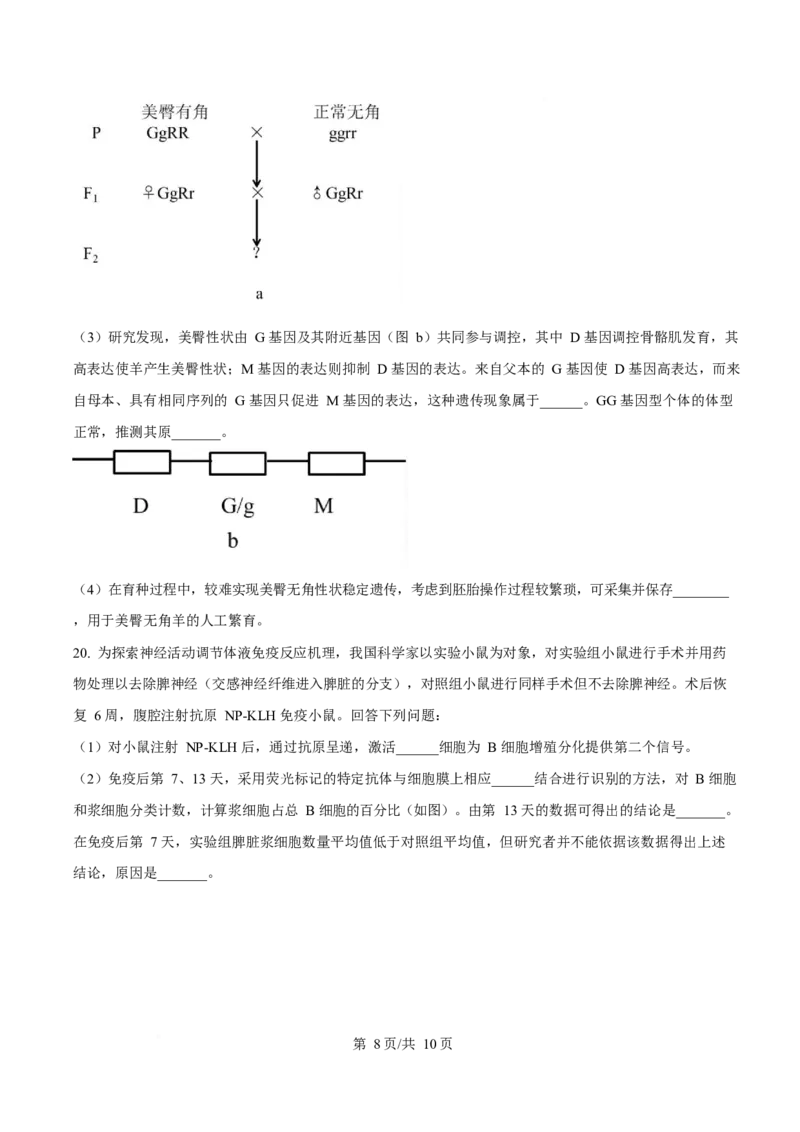 2025年高考生物试卷（广东卷）（空白卷）_生物历年高考真题_新&middot;Word版2008-2025&middot;高考生物真题_生物（按年份分类）2008-2025_2025&middot;高考生物真题