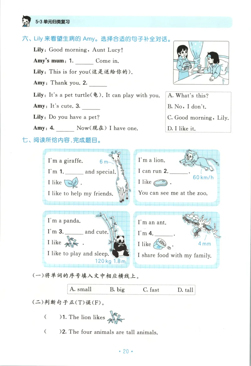 2025秋53单元归类复习英语3上RP_25秋小学语数英习题试卷_英语_人教版_53单元归类复习完整版英语pep25年上册