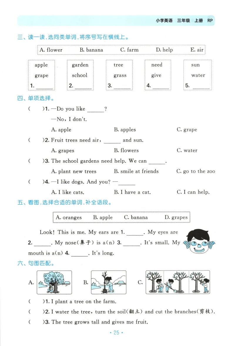 2025秋53单元归类复习英语3上RP_25秋小学语数英习题试卷_英语_人教版_53单元归类复习完整版英语pep25年上册