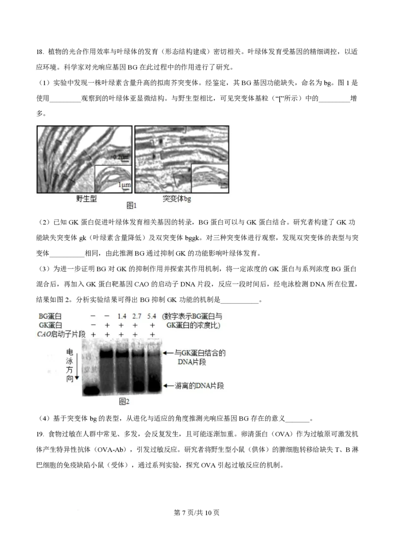 2025年高考生物试卷（北京卷）（空白卷）_生物历年高考真题_新&middot;PDF版2008-2025&middot;高考生物真题_生物（按年份分类）2008-2025_2025&middot;高考生物真题