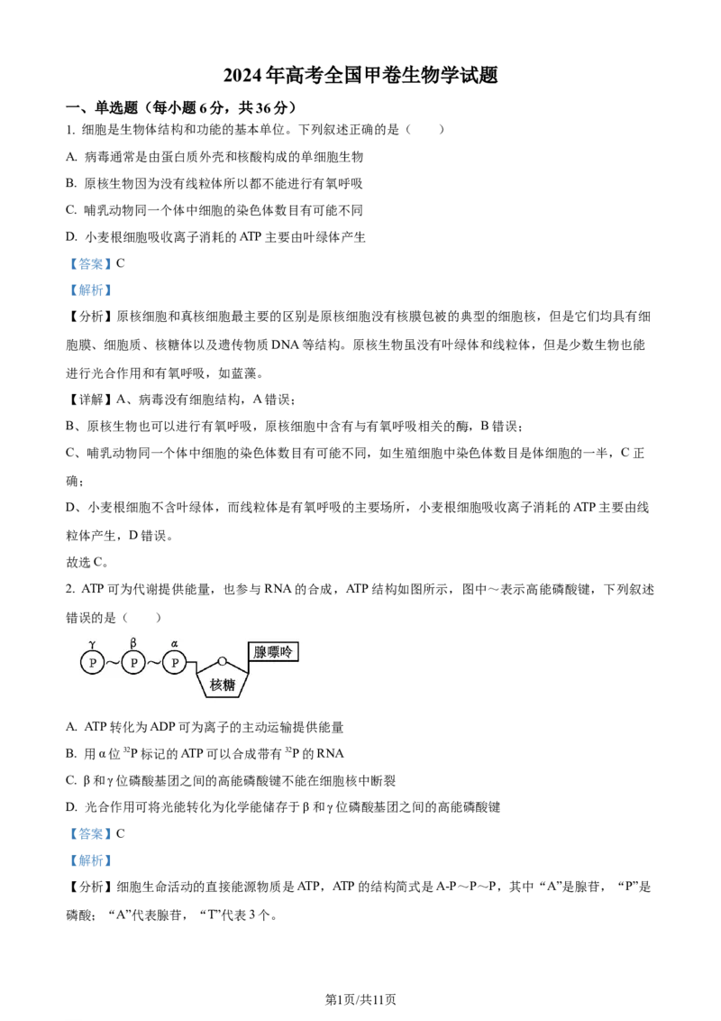 2024年高考生物试卷（全国甲卷）（解析卷）_生物历年高考真题_新&middot;Word版2008-2025&middot;高考生物真题_生物（按年份分类）2008-2025_2024&middot;高考生物真题