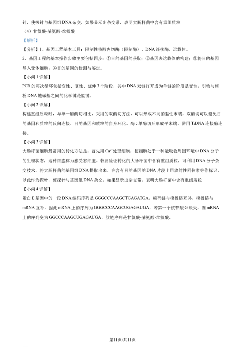 2024年高考生物试卷（全国甲卷）（解析卷）_生物历年高考真题_新&middot;Word版2008-2025&middot;高考生物真题_生物（按年份分类）2008-2025_2024&middot;高考生物真题