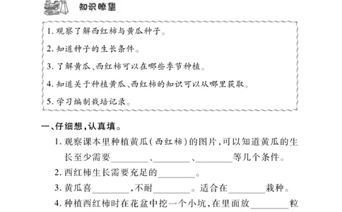 《快乐练习》科学3年级下册（苏教版）_三年级上下册资料_小学三年级学习资料-25年更新版_3-10、小学三年级科学下册_苏教版_电子册类