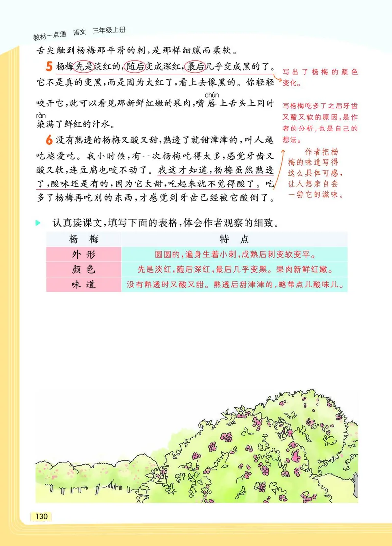 《教材一点通》语文3年级上册（RJ）_三年级上下册资料_小学三年级学习资料-25年更新版_3-01、小学三年级语文上册_3-1-2、练习题、作业、试题、试卷_电子册类