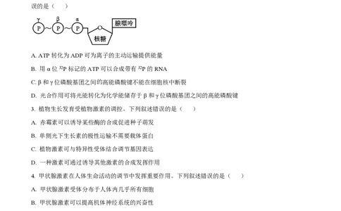 2024年高考生物试卷（全国甲卷）（空白卷）_生物历年高考真题_新&middot;PDF版2008-2025&middot;高考生物真题_生物（按年份分类）2008-2025_2024&middot;高考生物真题