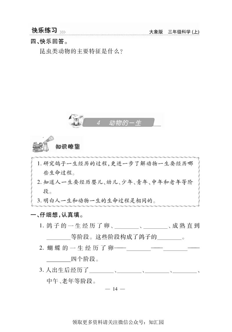 《快乐练习》科学3年级上册（大象版）_三年级上下册资料_小学三年级学习资料-25年更新版_3-09、小学三年级科学上册_大象版