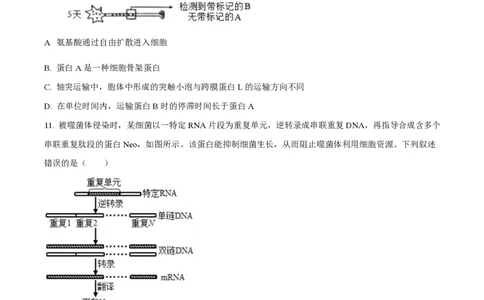 2025年高考生物试卷（湖南卷）（空白卷）_生物历年高考真题_新&middot;PDF版2008-2025&middot;高考生物真题_生物（按年份分类）2008-2025_2025&middot;高考生物真题