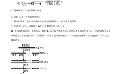 2025年高考生物试卷（湖南卷）（空白卷）_生物历年高考真题_新&middot;Word版2008-2025&middot;高考生物真题_生物（按年份分类）2008-2025_2025&middot;高考生物真题