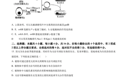 2024年高考生物试卷（江西）（空白卷）_生物历年高考真题_新&middot;Word版2008-2025&middot;高考生物真题_生物（按年份分类）2008-2025_2024&middot;高考生物真题