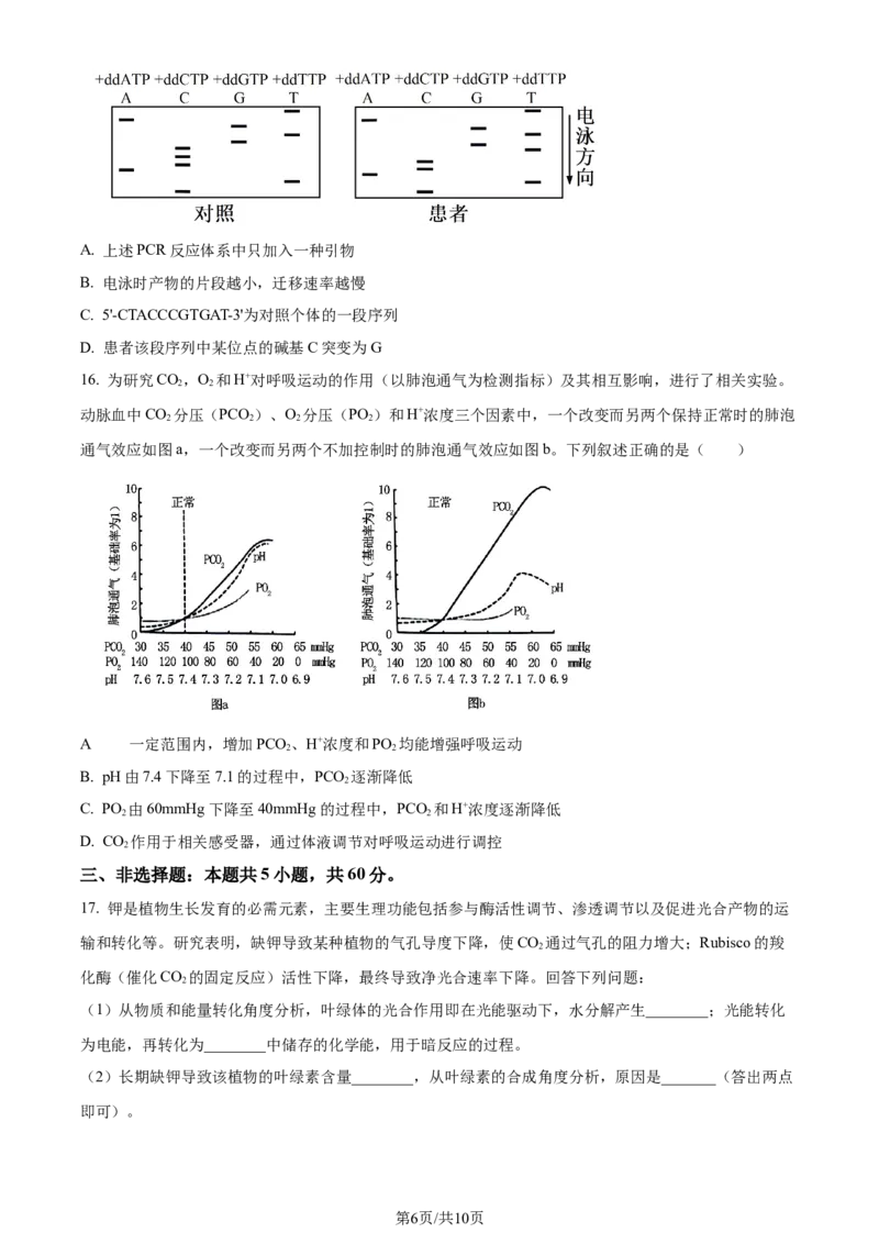 2024年高考生物试卷（湖南）（空白卷）_生物历年高考真题_新&middot;Word版2008-2025&middot;高考生物真题_生物（按年份分类）2008-2025_2024&middot;高考生物真题