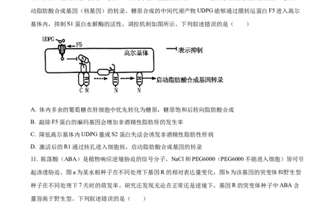 2024年高考生物试卷（湖南）（空白卷）_生物历年高考真题_新&middot;Word版2008-2025&middot;高考生物真题_生物（按年份分类）2008-2025_2024&middot;高考生物真题