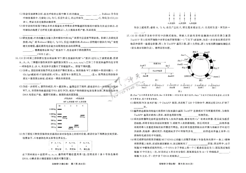 2025《一飞冲天&bull;高考抢分卷》生物_2025高中教辅（后续还会更新新习题试卷）_《一飞冲天高考抢分卷》2025版
