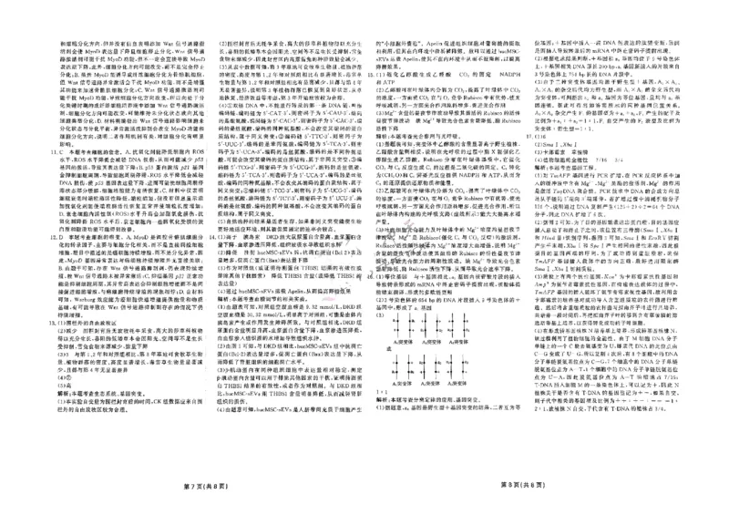2025《一飞冲天&bull;高考抢分卷》生物_2025高中教辅（后续还会更新新习题试卷）_《一飞冲天高考抢分卷》2025版