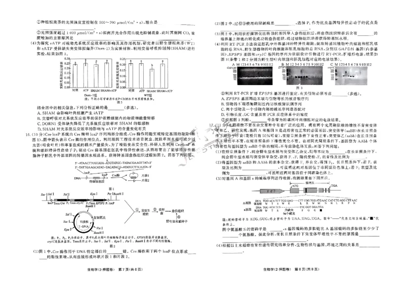 2025《一飞冲天&bull;高考抢分卷》生物_2025高中教辅（后续还会更新新习题试卷）_《一飞冲天高考抢分卷》2025版