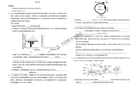 2025《一飞冲天&bull;高考抢分卷》生物_2025高中教辅（后续还会更新新习题试卷）_《一飞冲天高考抢分卷》2025版