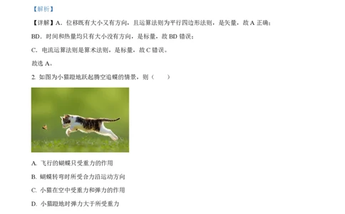 2024年高考物理试卷（浙江）（6月）（解析卷）_物理历年高考真题_新&middot;PDF版2008-2025&middot;高考物理真题_物理（按年份分类）2008-2025_2024&middot;高考物理真题