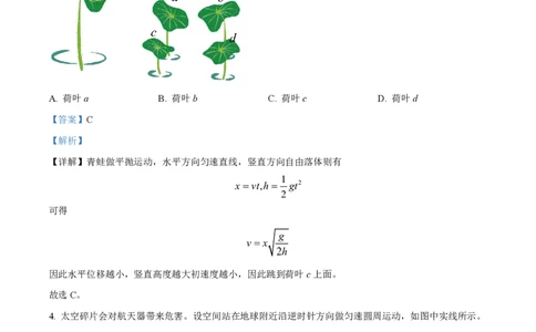 2024年高考物理试卷（湖北）（解析卷）_物理历年高考真题_新&middot;PDF版2008-2025&middot;高考物理真题_物理（按年份分类）2008-2025_2024&middot;高考物理真题