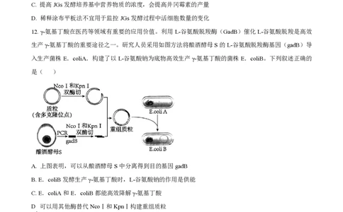 2024年高考生物试卷（江西）（空白卷）_生物历年高考真题_新&middot;PDF版2008-2025&middot;高考生物真题_生物（按年份分类）2008-2025_2024&middot;高考生物真题