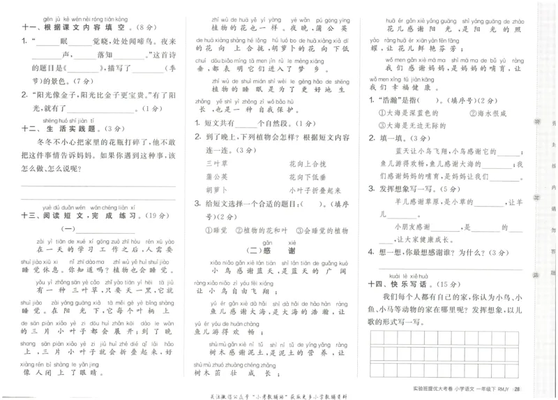 《实验班提优大考卷》语文1年级下册（RJ）_一年级上下册资料_小学一年级学习资料-25年更新版_1-02、小学一年级语文下册_3-6-2-2、练习题、作业、专项、试卷_部编（人教）版_电子册类