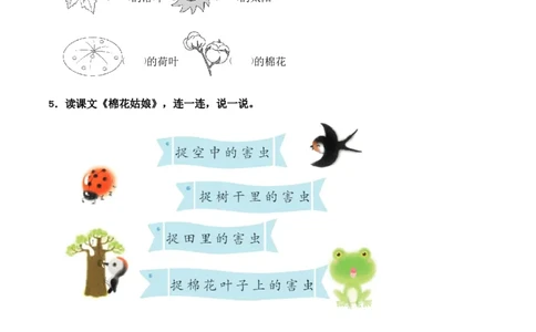 第8单元18《棉花姑娘》（同步分层作业）-（统编版&middot;2024）_一年级语文下册（统编版）_同步分层作业_2025版