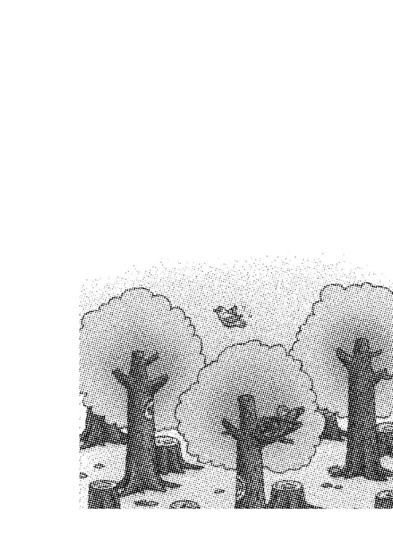 跟我学写话（写动物4篇）_一年级语文下册（统编版）_老课标资料_写话课件_一下语文-写话课件与范文_跟我学写话分类指导