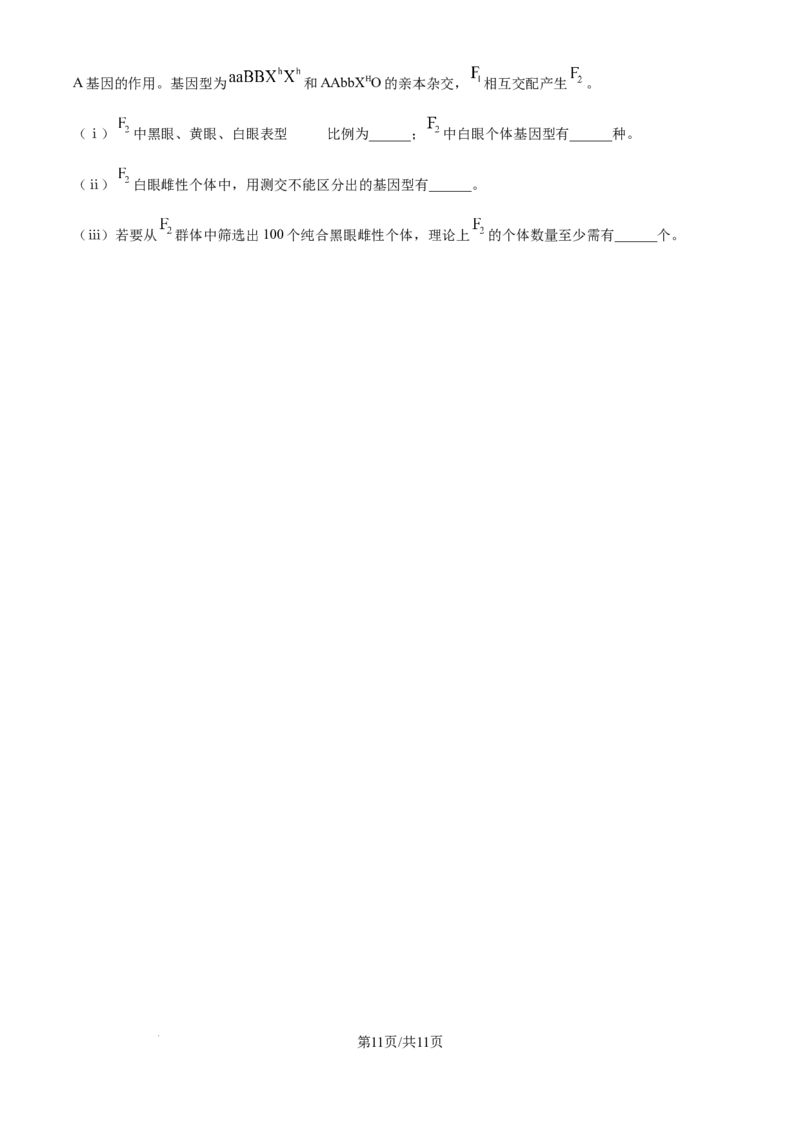 2025年高考生物试卷（江苏卷）（空白卷）_生物历年高考真题_新&middot;Word版2008-2025&middot;高考生物真题_生物（按年份分类）2008-2025_2025&middot;高考生物真题