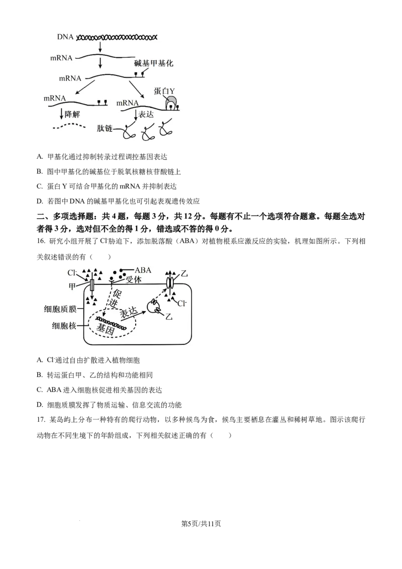 2025年高考生物试卷（江苏卷）（空白卷）_生物历年高考真题_新&middot;Word版2008-2025&middot;高考生物真题_生物（按年份分类）2008-2025_2025&middot;高考生物真题